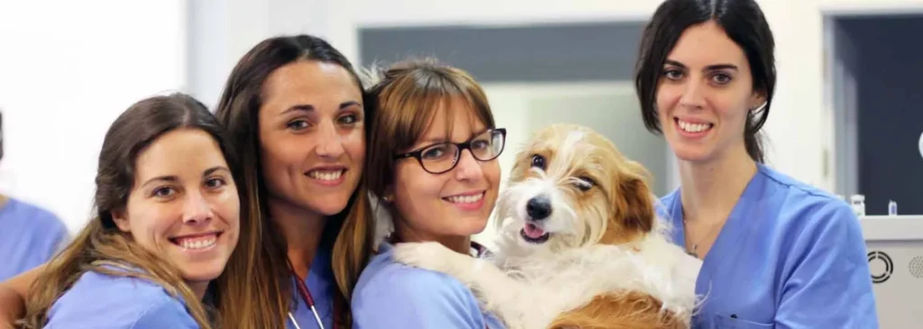 Equipo del hospital veterinario Aúna con un perro