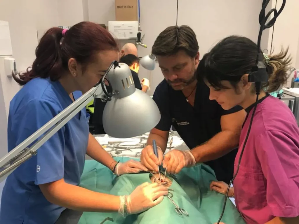 Manuel Jiménez, docente en el Master de Cirugía de Neo Animalia España
