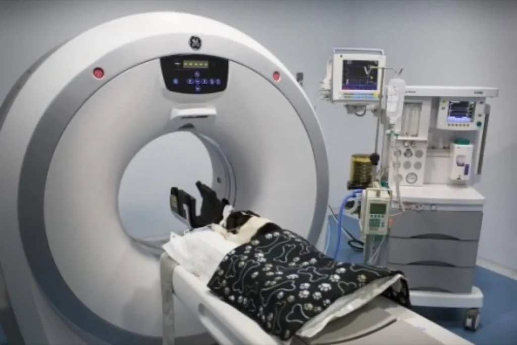 Residencia en Neurología/Neurocirugía Veterinaria aprobada por el European College of Veterinary Neurology ECVN